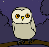 “owl”