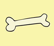 “bone”