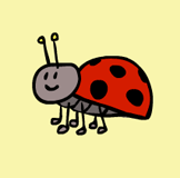 “bug”