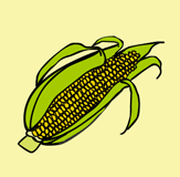 “corn”