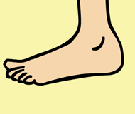 “foot”