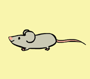 “mouse”