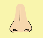 “nose”