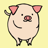 “pig”