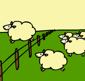 “sheep”