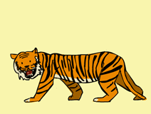 “tiger”