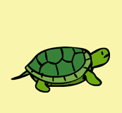 “turtle”