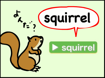 squirrelのボタンを押すと、squirrel（リス）の発音が聞けます