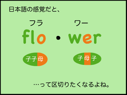 日本語だと、flo / wer　って区切りたくなるけど